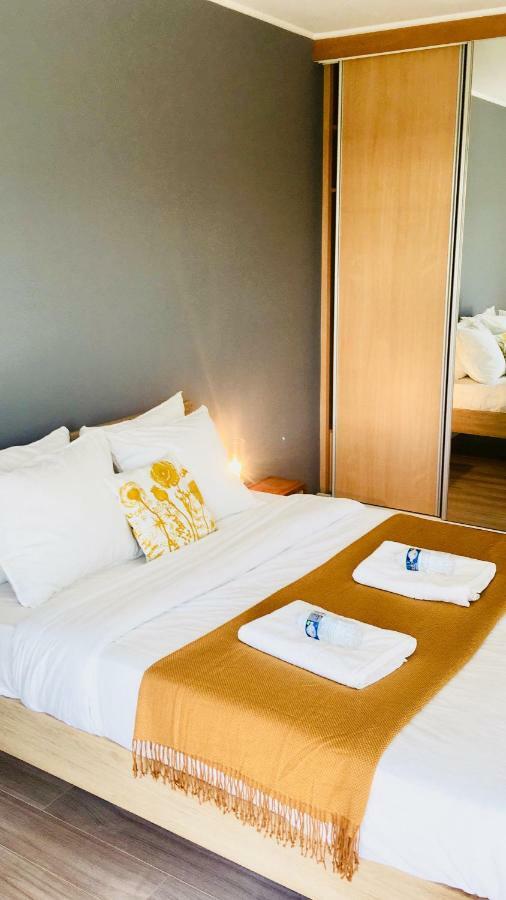 Apartment Art Deco 100m2 Flat 2 Min Walking From Train Station In Center, Free Parking And Terrace - 2b Luxemburg